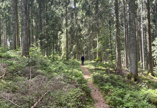 22-05-29 13-34-56 0975